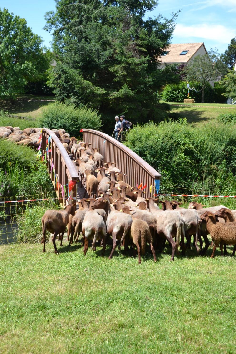 Transhumance 2018 Saint-Prix-Andilly