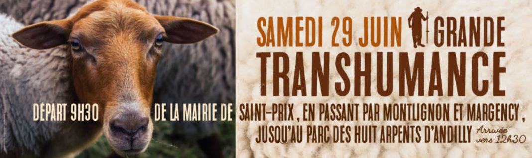 Transhumance 2019