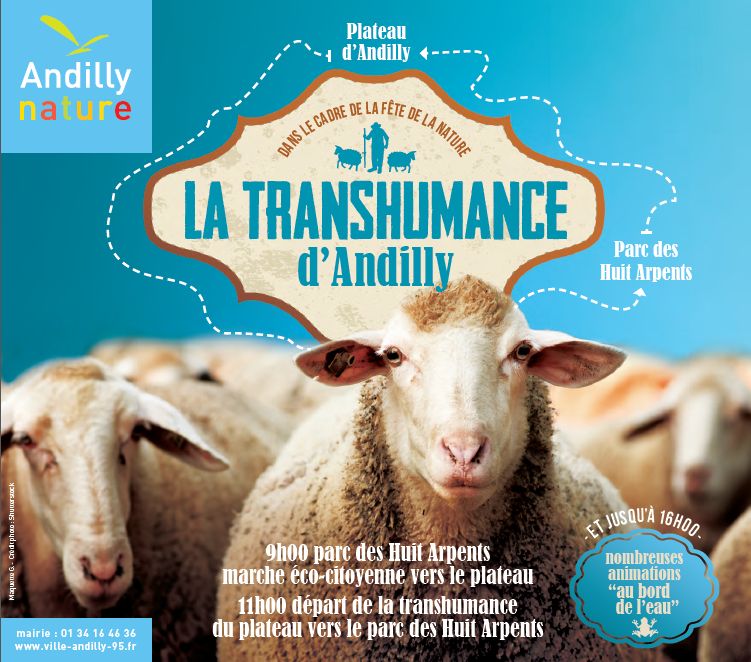 transhumance à ANDILLY - 30 MAI 2015