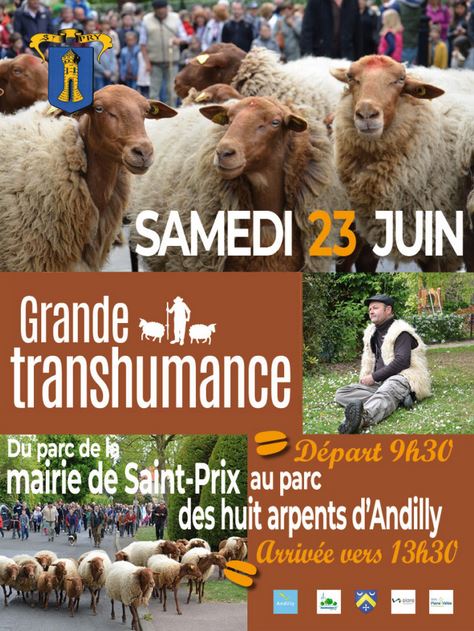 Grande transhumance Saint-Prix Andilly