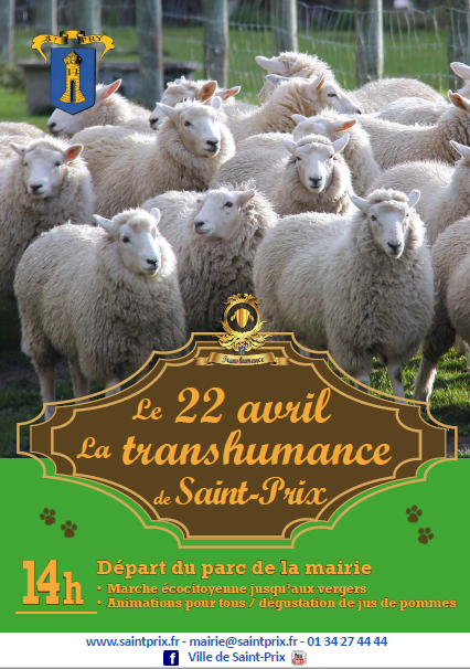 TRANSHUMANCE DE SAINT-PRIX 2017