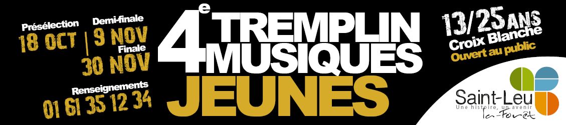tremplin rock saint leu