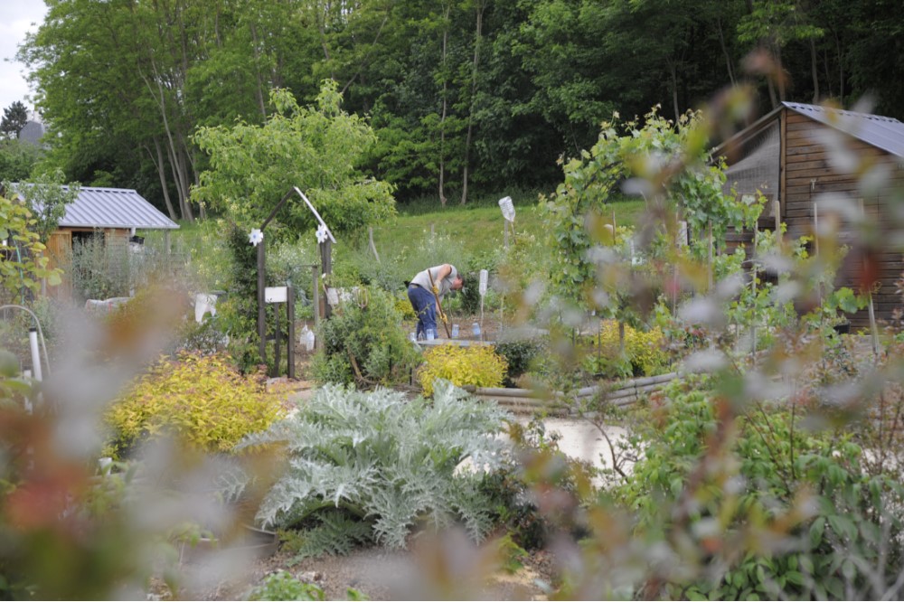 Jardins familiaux de Soisy