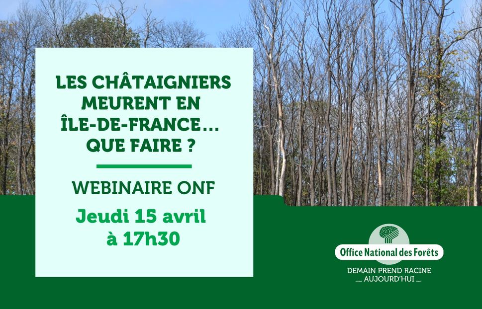 Webinaire de l'ONF