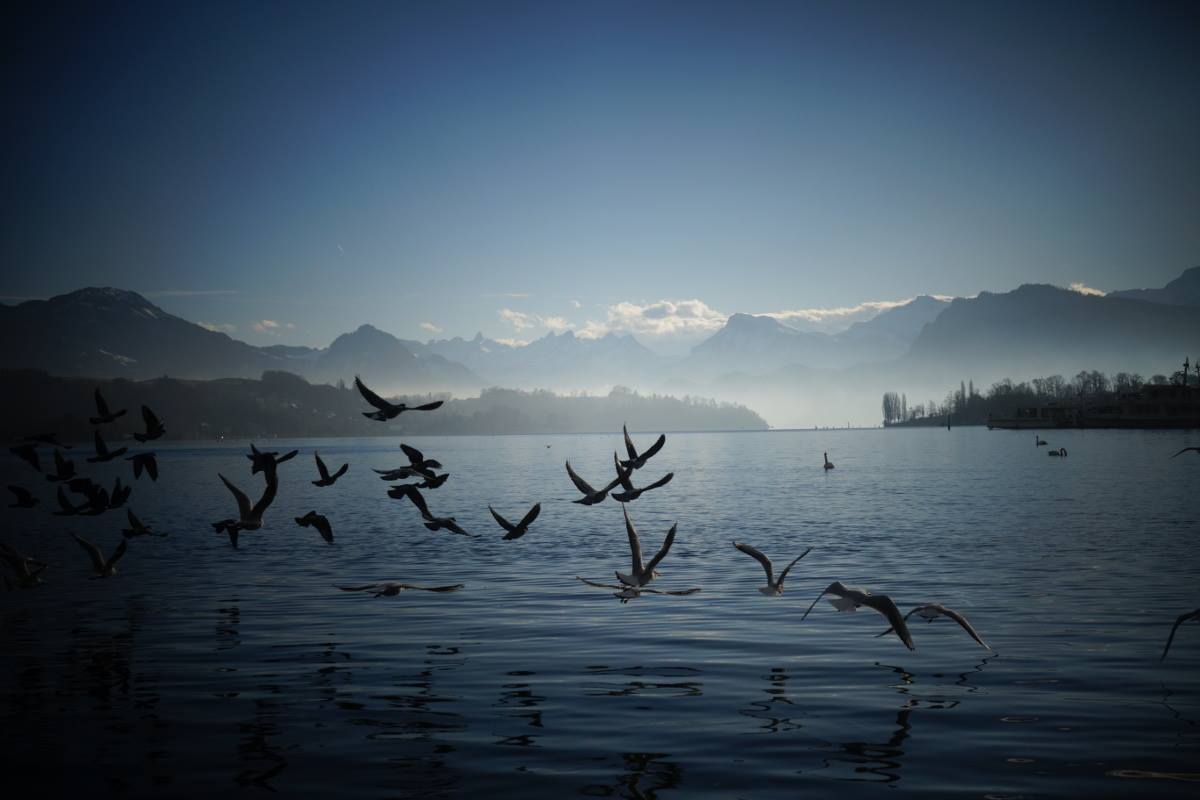 Apprentis Vagabonds - Lac de Lucerne