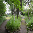 L'association de Sannois Découverte et Connaissance de la Nature 95 nous propose de nombreuses activités ! 