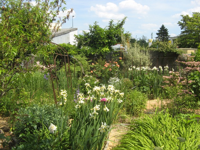 jardin de Monique à EAUBONNE