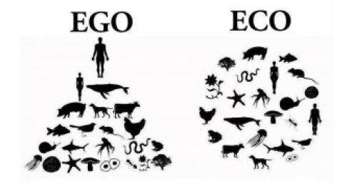 EGO - ECO