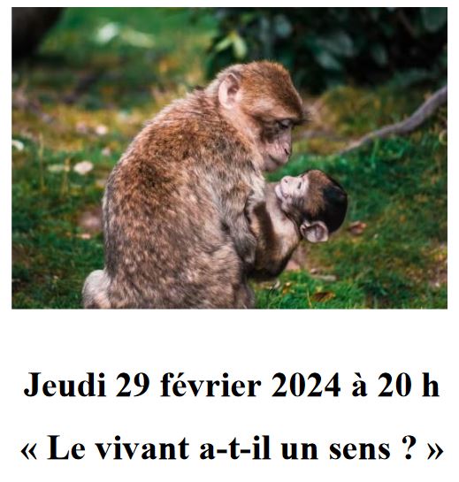 Café philo 29 février 2024