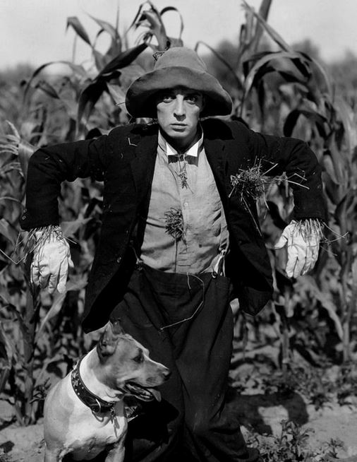 Buster Keaton - ciné concert à Enghien