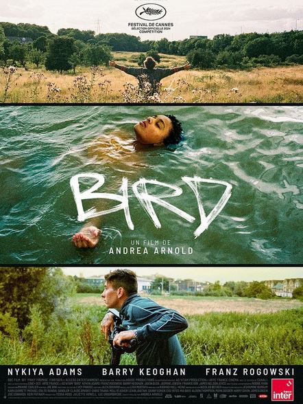 FILM Bird
