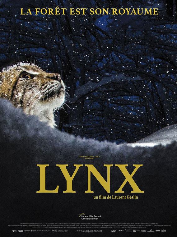 FILM Lynx