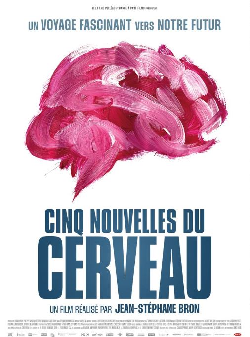 FILM 5 nouvelles du cerveau