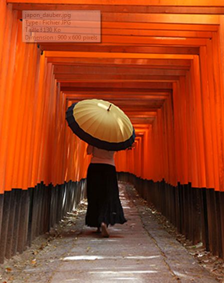 JAPON L'EMPIRE DES SENS