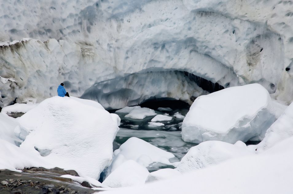 LA GLACE ET LE CIEL de Luc Jacquet