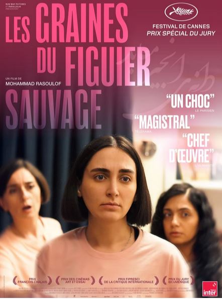 FILM Les graines du fichier sauvage