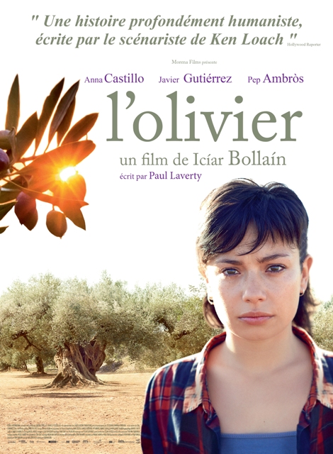 L'OLIVIER de Iciar Bollain