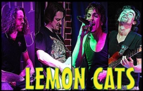 LEMON CATS