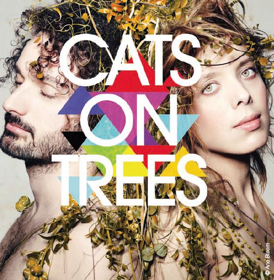 cats on trees