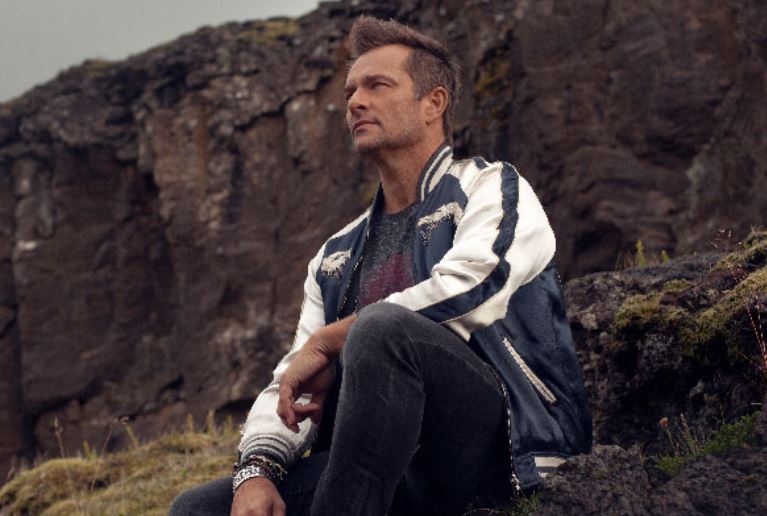 David Hallyday