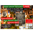 Grand concert participatif de No&euml;l