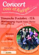 Concert Voix et Harpe par le groupe vocal Concert Voix et Harpe par le groupe vocal