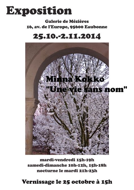 exposition minna kokko