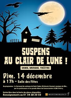 Suspens au clair de lune - montmorency