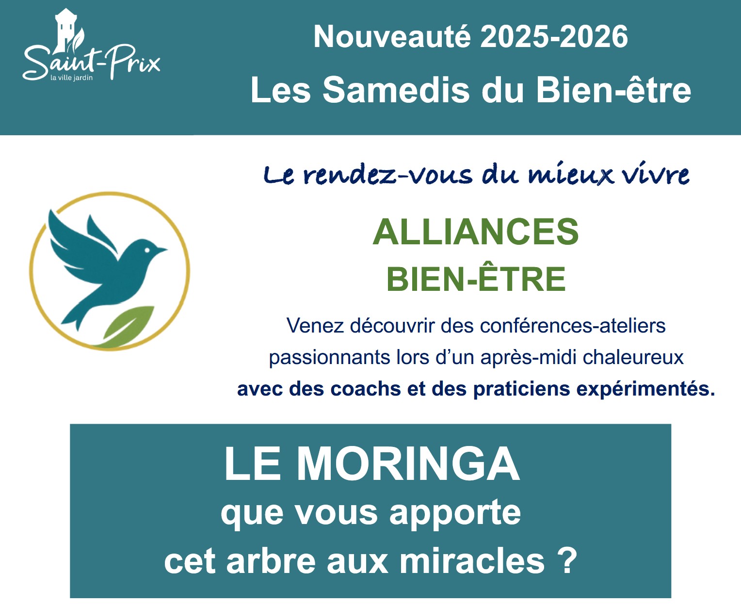 alliances bien-&ecirc;tre - le moringa - Chantal Ernoult