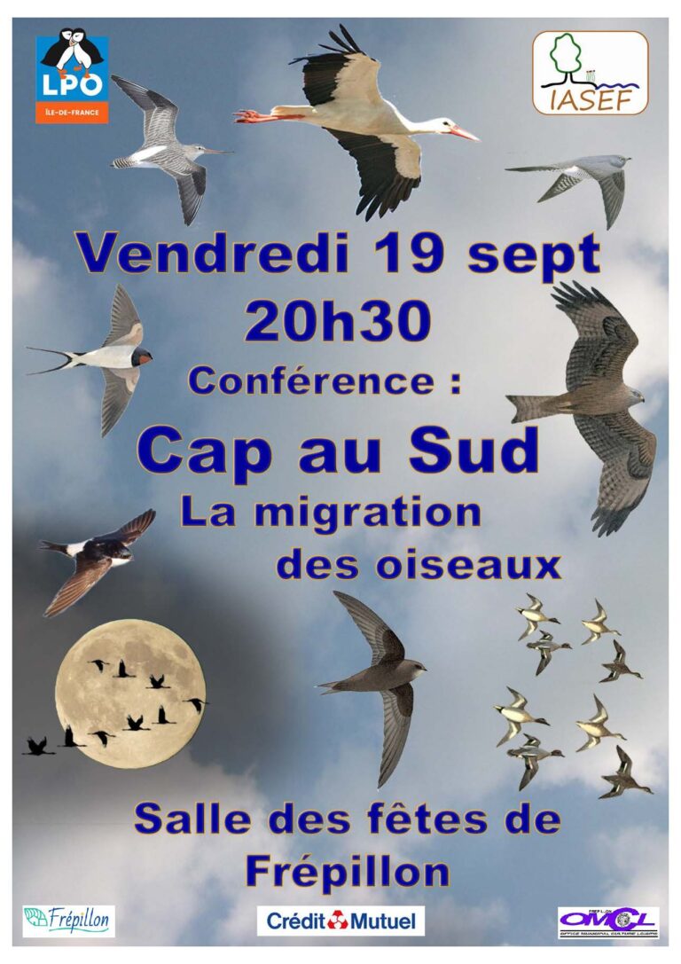 CONFERENCE Migration des oiseaux