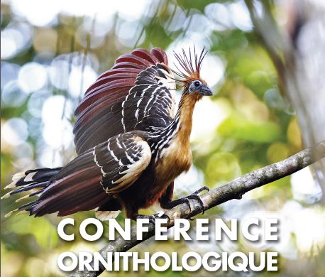 conférence ornithologique par Didier Gamelin