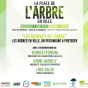 Grande soirée : Les arbres en ville, un patrimoine à protéger