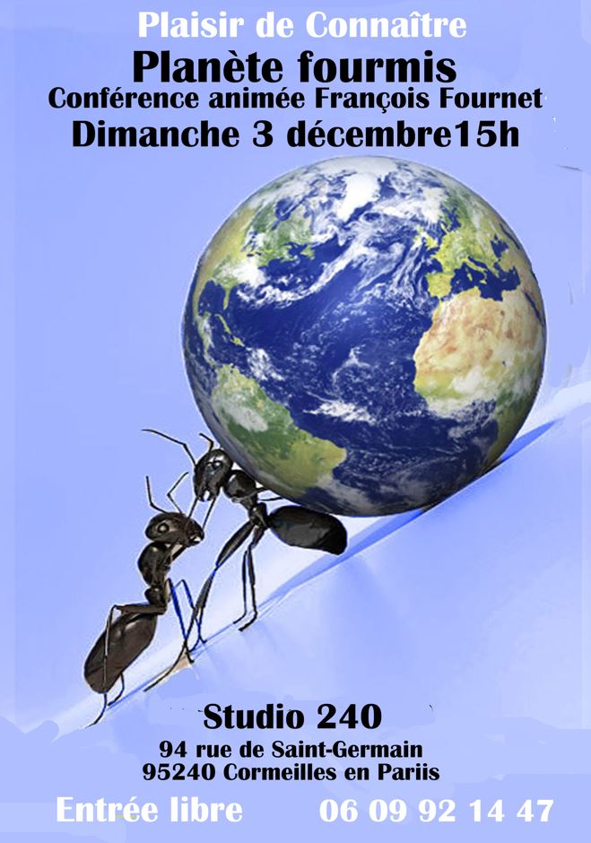 CONFERENCE Planète fourmis