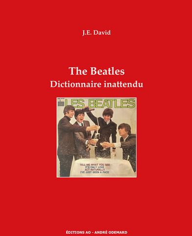 LIVRE The Beatles dictionnaire inattendu
