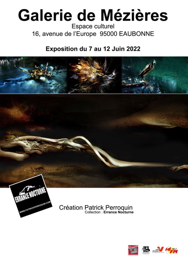 Exposition de Patrick Perroquin - Eaubonne