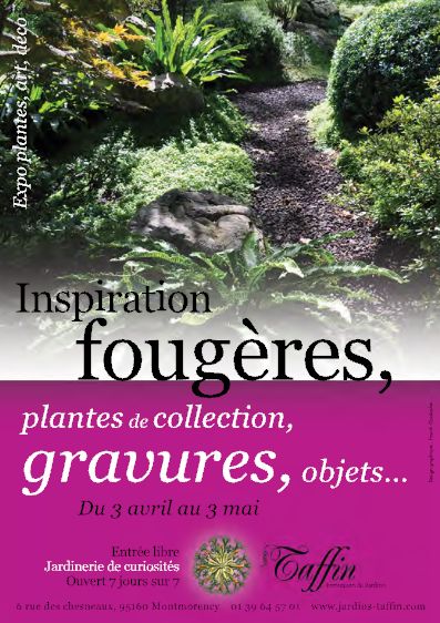 exposition : inspiration fougères