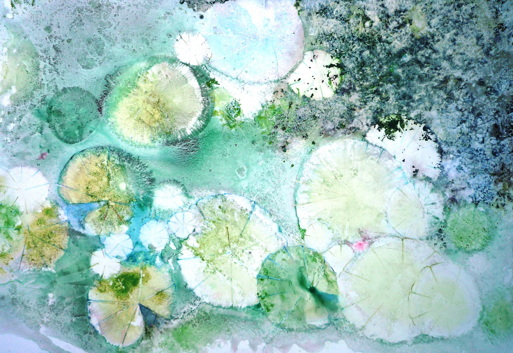 OEUVRE DE MARIE-CHRISTINE MOULY