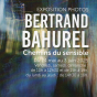 Exposition photos de Bertrand Bahurel : Chemins du sensible