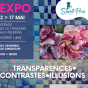 Exposition de Bernard Devienne, Elisabeth Mar&eacute;chal et Christiane Simon&nbsp;: Transparences - contrastes - illusions.