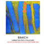 Exposition gravures de Bimich : Vibration des couleurs