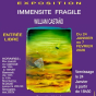 Exposition de William Casta&ntilde;o&nbsp;: Immensit&eacute; fragile