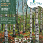 Exposition de l'artiste écollagiste Laurence Hochin : Forêt de papier