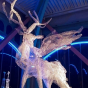 Biennale des Arts À Part