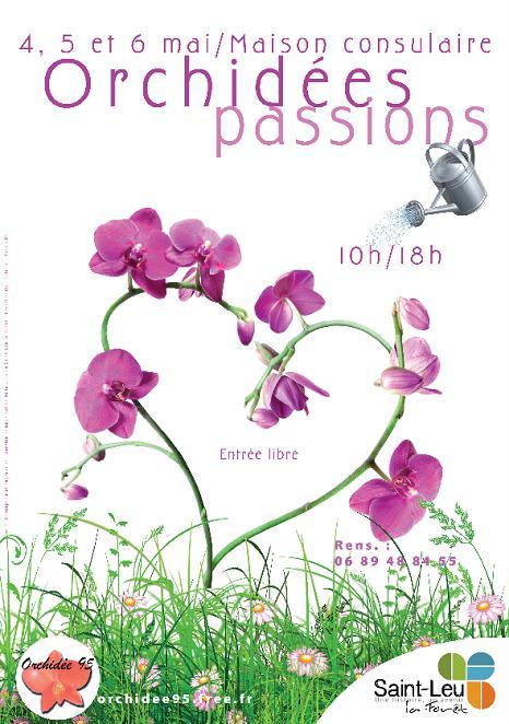 orchidées passions