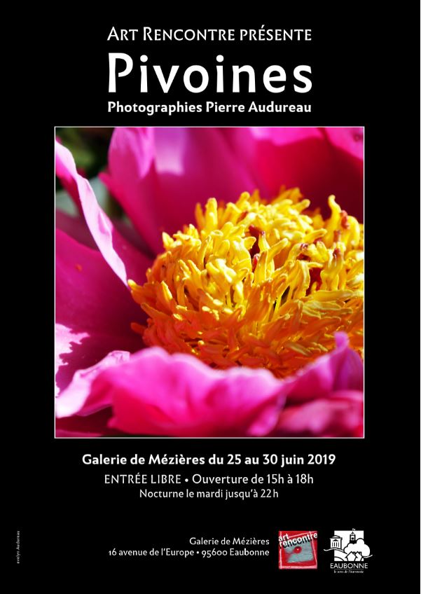 Exposition de Pierre Audureau : Pivoines