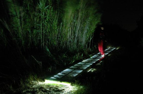 expo poetic'optiques