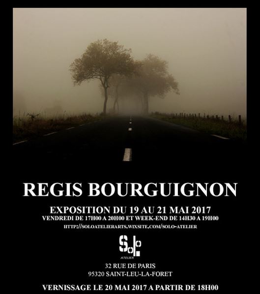 Exposition de Régis Bourguignon