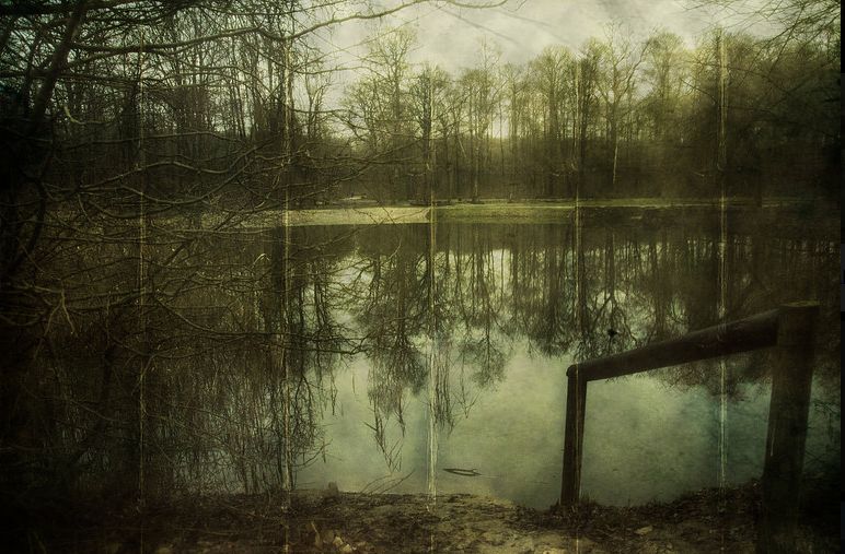 L'étang Godard dans la Forêt de Montmorency par Sophie Patry