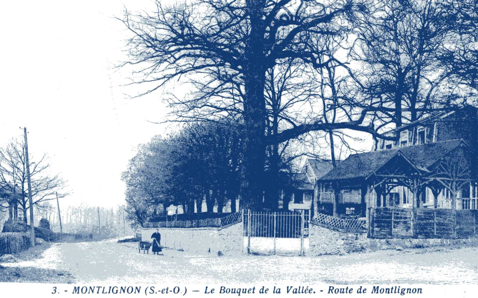 Bouquet de la Vallée - Forêt de Montmorency