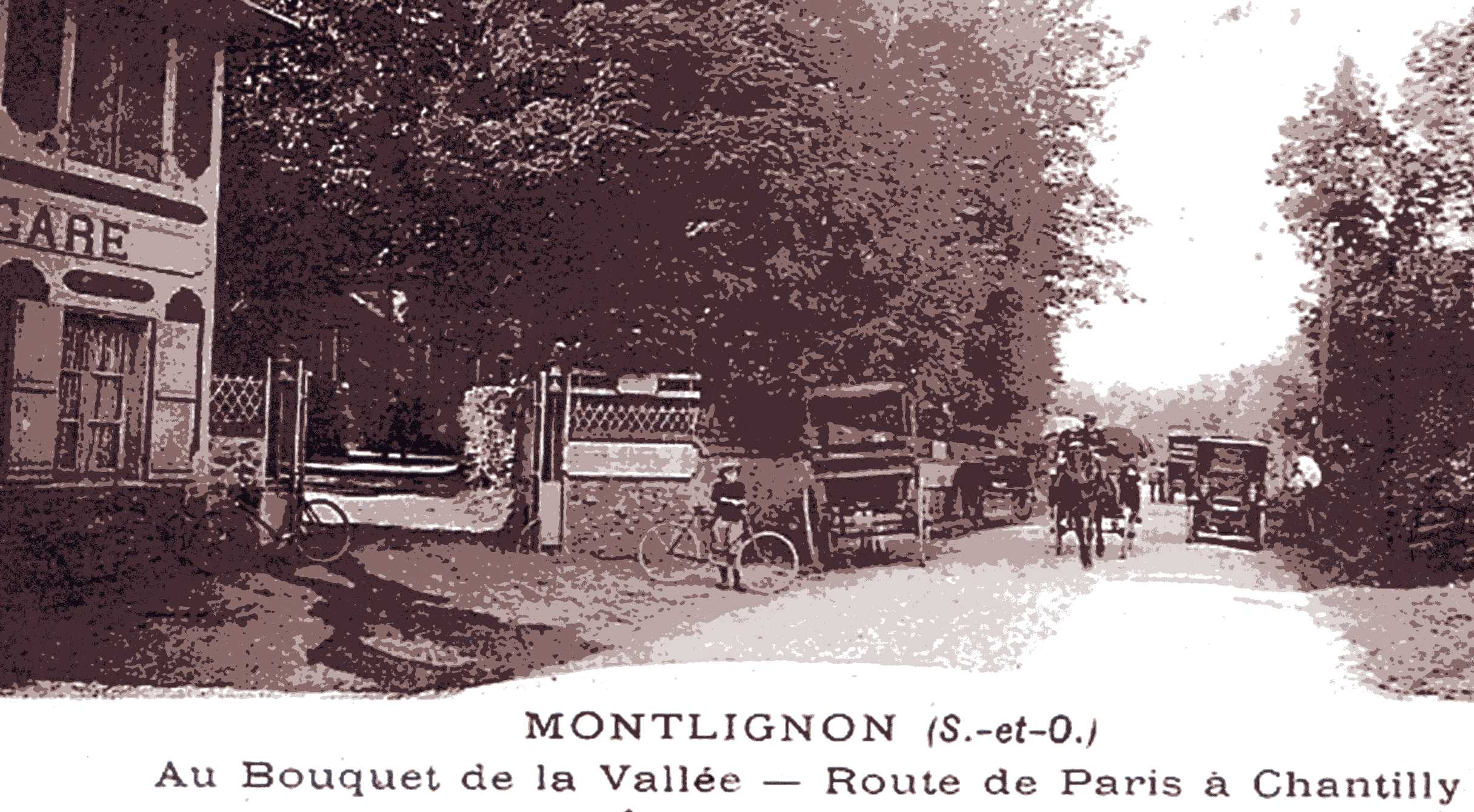 Bouquet de la Vallée - Forêt de Montmorency